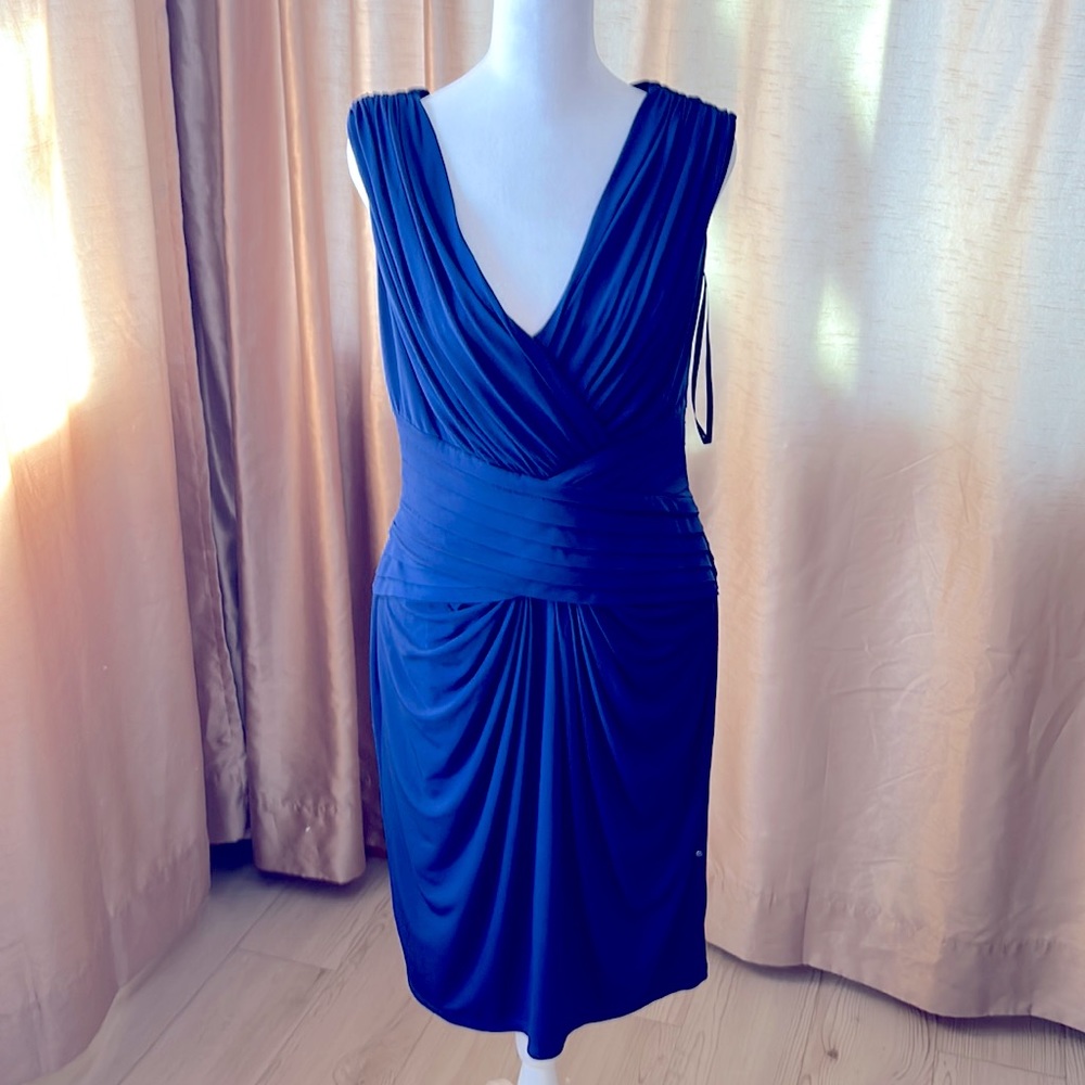 Gorgeous Tadashi Dress